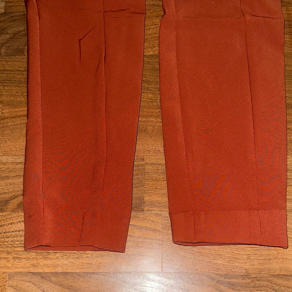 Express Terracotta Cropped Pants - Picture 5 of 6